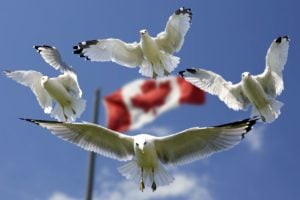 The VanHack relocation guide for international tech talent
