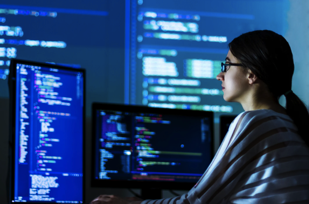 Software Development