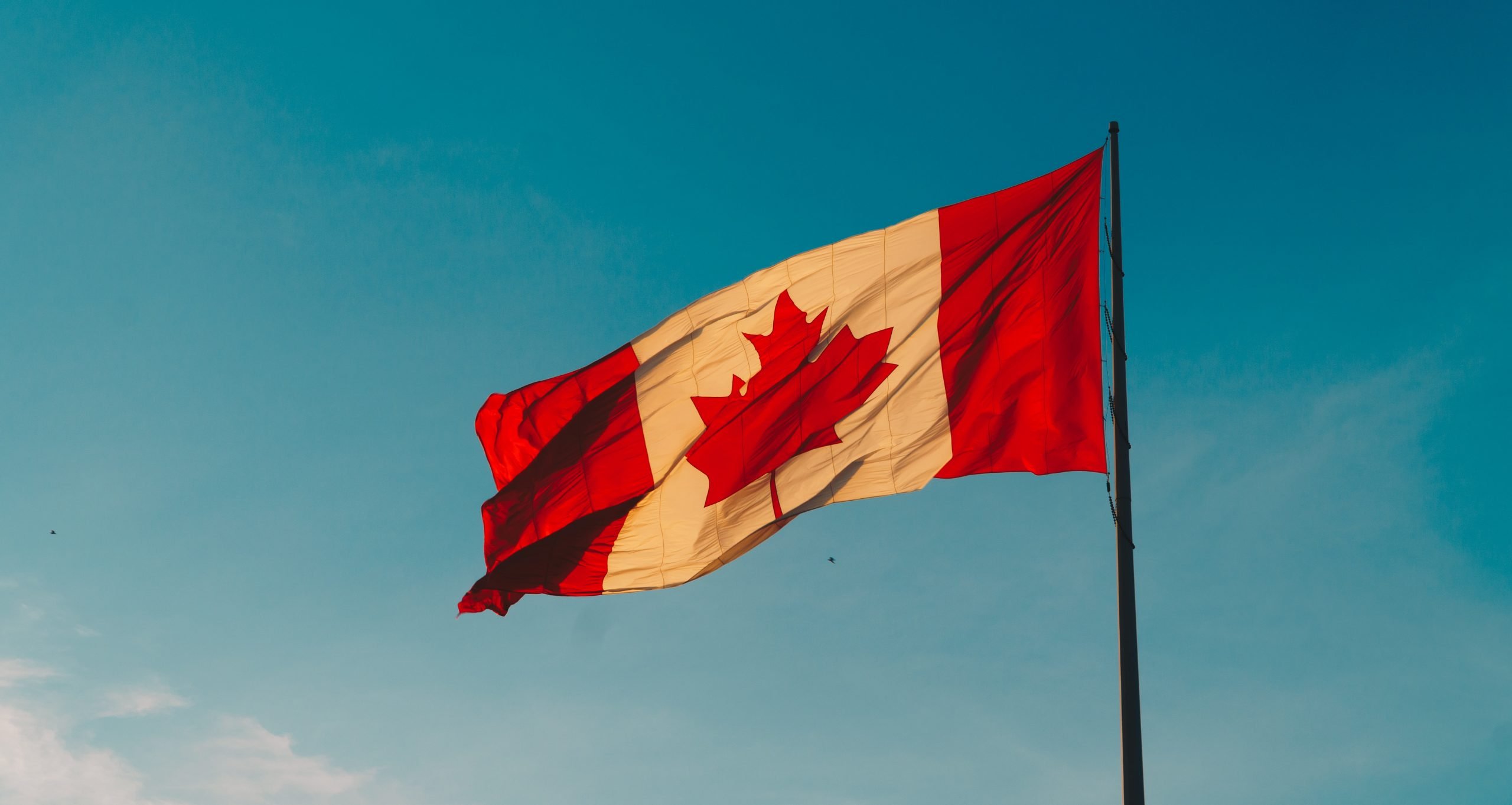 Canada flag - Labour market benefits plan LMBP